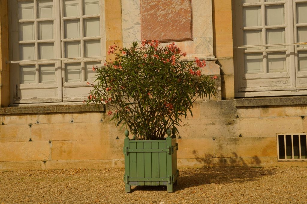 Bac à oranger